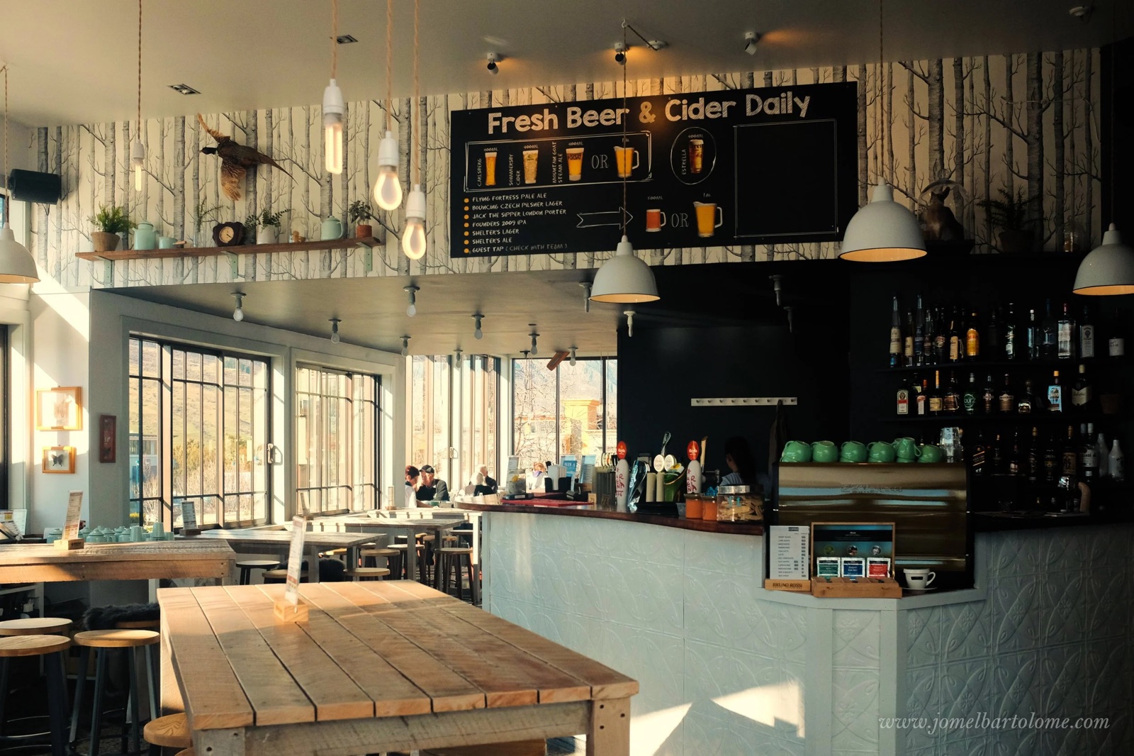 The Shelter Bar and Kitchen