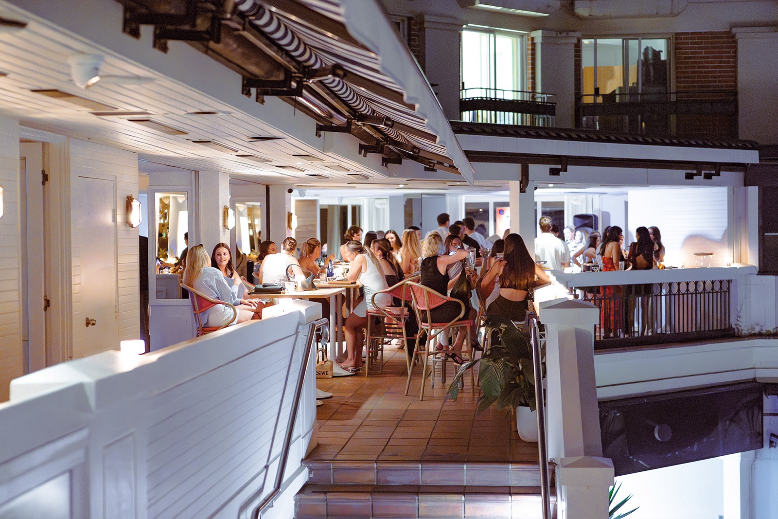 Pelicano Potts Point
